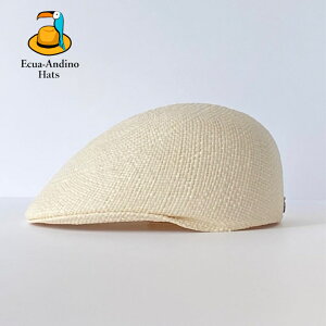 pi}nbg Y fB[X  pi}X n`O n`OX Xq Lbv GNAh {pi} ̓ Ecua-Andino GNAAfB[m A Ki TCY  t M