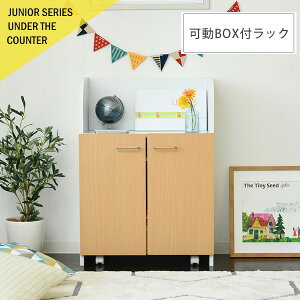 JE^[WjAV[Y BOXtbN(JE^[ ჉bN {bNXt 60 85 JE^[[ s35cm t ᔠ LX^[t rO [ I