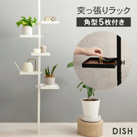 突っ張りラック 角型トレイ5個付き【DISH】ディッシュ(突っ張り 収納 つっぱり棚 ラック ハンガーラック キッチン ランドリー 天井 壁面 狭い 壁面収納 スリム 木目調 おしゃれ 小物 ポール 玄関 コートハンガー 靴 植物 サイドテーブル)