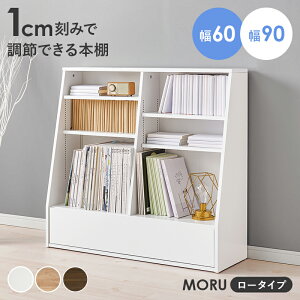 y50%OFFN[|聚420`撅2z1cm݂Œ߂ł{I 60cm^90cm [^CvyMORUz({I e ȃXy[X  R~bN { [ R~bNbN ^ ubNbN