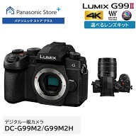 【公式店】パナソニック デジタル一眼カメラ LUMIX Gシリーズ 選べるタイプ（ボディのみ/高倍率ズームレ…