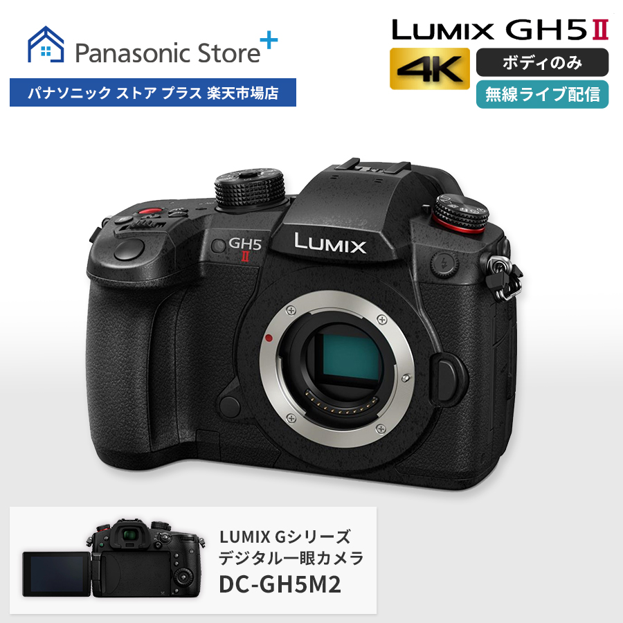 楽天市場】【公式店】Panasonic LUMIX Gシリーズ デジタル一眼カメラ