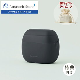 【期間限定特典付き 2/16(月)17時まで】【公式店】 パナソニック リニアシェーバー ラムダッシュ パームイン マットブラック ES-PV3A-K 無料ギフトラッピング 泡 電動シェーバー USB充電 防水 深剃り 髭剃り ケース付き 5枚刃 手のひらサイズ 送料無料 クリスマス