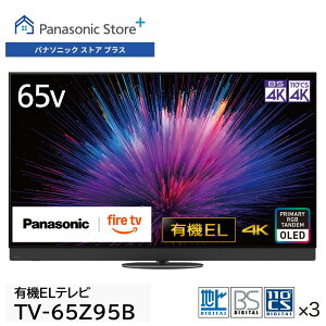 yXzpi\jbN L@ELer rG IׂTCY(65v/55v^) TV-65Z95B/TV-55Z95B 360̉TEhVXe{CACXs[J[ firetv RF ]|h~X^h 掿 
