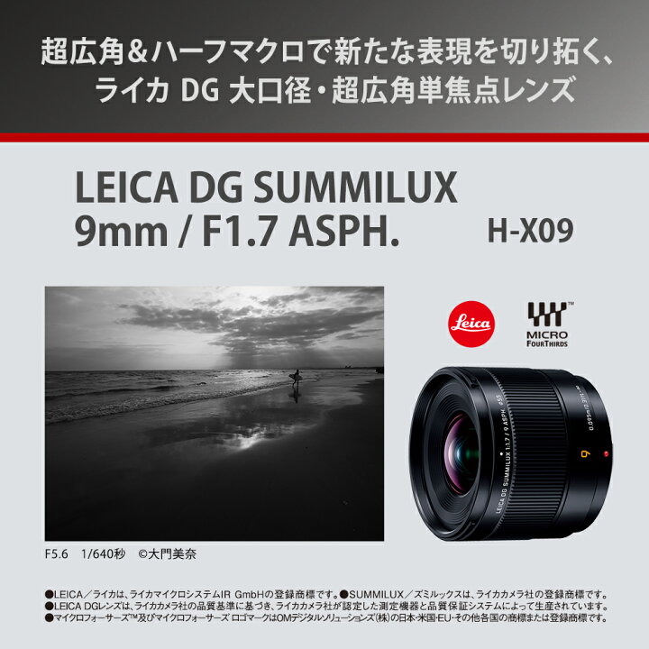 楽天市場】【公式店】 パナソニック デジタル一眼カメラ用交換レンズ 