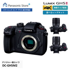楽天市場】 AV機器・カメラ > カメラ > LUMIX（ルミックス） ミラー 