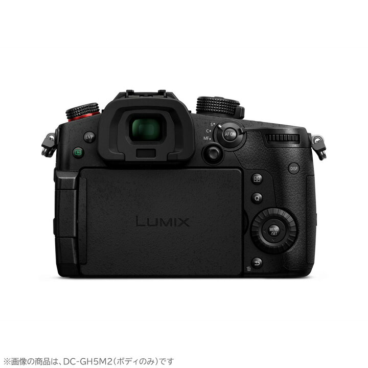 楽天市場】【公式店】パナソニック デジタル一眼カメラ LUMIX G 