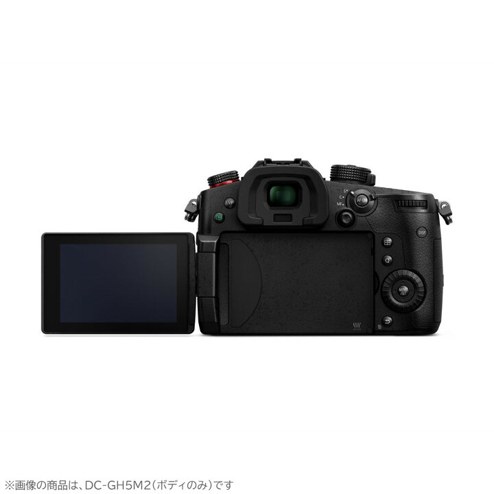 楽天市場】【公式店】パナソニック デジタル一眼カメラ LUMIX G 