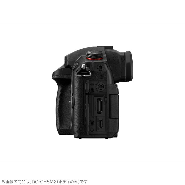 楽天市場】【公式店】パナソニック デジタル一眼カメラ LUMIX G 