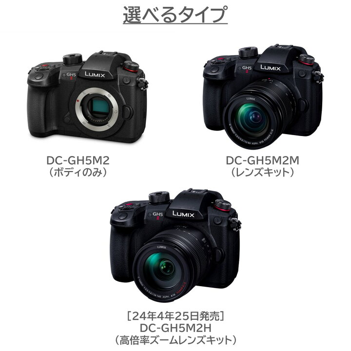 楽天市場】【公式店】パナソニック デジタル一眼カメラ LUMIX G  