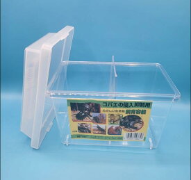 コバエ侵入抑制 飼育ケース ミニ 仕切り付 175×105×140 1個