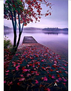 _ChA[g@r[Y hJ Lbg r[YA[gLbg 5D DIY r[YhJ G i  L lR  t[  S ɂԂ _CAhA[g