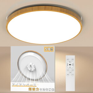 LED V[OCg 6`12 F Rt dC Hsv 铔 u Ɩ V  k Ɩ V LEDCg ߓd d a m Q rO Kp Ceiling Light
