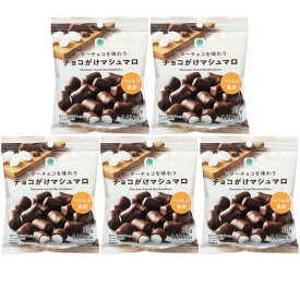 即日発送 5個セット【チョコがけマシュマロ】ファミマ チョコがけチョコマシュマロ ビターチョコを味わうチョコがけマシュマロ　 2026ホワイトデー 彼女 彼氏 プレゼント しなこボンボン シャインマスカットボンボン チョコっとマシュマロ チョコマシュマロ プレミアム