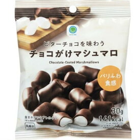 即日発送【チョコがけマシュマロ・送料無料】ファミマ チョコがけチョコマシュマロ ビターチョコを味わうチョコがけマシュマロ　 2026ホワイトデー 彼女 彼氏 プレゼント しなこボンボン シャインマスカットボンボン チョコっとマシュマロ チョコマシュマロ プレミアム
