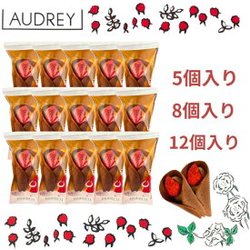 【チョコ・選択・送料無料】オードリー 『AUDREY 』 スイーツ お菓子 ラングドシャ　東京土産 手土産 お供え物 お菓子 銘菓 母の日 ギフト