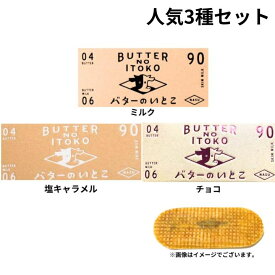 クール便可能3種セット 送料無料【ミルク/塩キャラメル/チョコ・3個入り】バターのいとこ 『1箱 3個入り』 定番 東京土産 手土産 お供え物 お菓子 銘菓　お歳暮