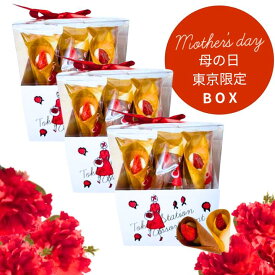 3個セット【東京駅限定BOX・12個入り・送料無料】オードリー 『AUDREY 東京駅限定BOX』 スイーツ お菓子 ラングドシャ　東京土産 手土産 お供え物 お菓子 銘菓 母の日