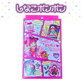 即日発送　送料無料【SHINAKOのよくばりおかしセット】SHINAKO　しなこ　しなこちゃんプロデュース　CANDY・A・GO・GO　コラボ　しなこボンボン　しなこ監督　クリスマス バレンタイン 子供 人気 菓子 ASMR プレゼント　限定