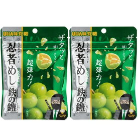 2個セット【鉄の鎧 マスカット味】忍者めし 鉄の鎧 マスカット味 UHA 味覚糖　 マスカットグミキャンディ　雲グミ　 お菓子 入手困難　お土産　プレゼント　クリスマス　ASMR動画が話題の★グミッツェル★　味覚糖詰め合わせ　 果汁の雫　 果実のしすく　果実のしずぐ