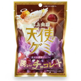 送料無料【チョコぶどう味・天使のグミ】極上食感　天使のグミ　恵みの濃厚ぶどう味　誘いのチョコレート　2026ホワイトデー 彼女 彼氏 プレゼント しなこボンボン シャインマスカットボンボン チョコっとマシュマロ チョコマシュマロ プレミアム