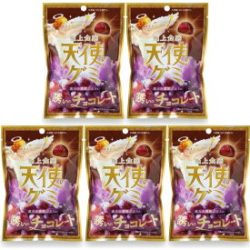 5個セット【チョコぶどう味・天使のグミ】極上食感　天使のグミ　恵みの濃厚ぶどう味　誘いのチョコレート　2026ホワイトデー 彼女 彼氏 プレゼント しなこボンボン シャインマスカットボンボン チョコっとマシュマロ チョコマシュマロ プレミアム