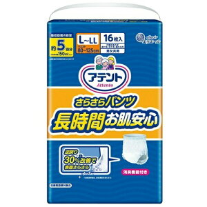 剤 Aeg 炳pc ԂS jp L`LL 16(pbP[WɎ኱݂̏)