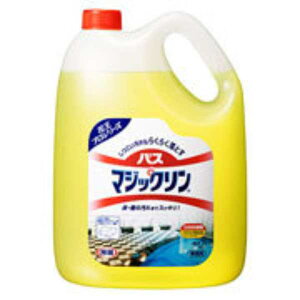 ԉ oX}WbN 4.5L x1P[X(4)