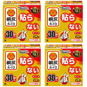 ѐ ˊD JC \Ȃ 30(30P) x4