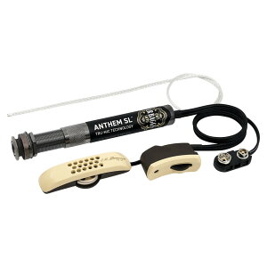 L.R.Baggs �s�b�N�A�b�v Anthem SL