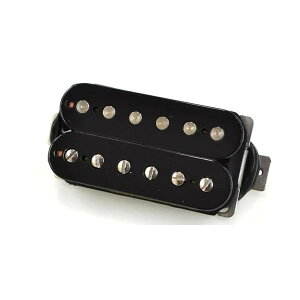 �y���s�A���i�zSeymour Duncan APH-1b Alnico II Pro