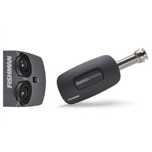 ysAizFishman Matrix Infinity VT Wide format