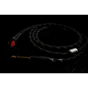 PlusSound vXTEh Echo Series Custom Cable Sennheiser wbhz P[u pP[u
