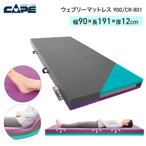P[v EFu[}bgX 900 CR-801 90×191cm |   xbh   ڏ ̈ U K h  Lk E^tH[ }bgX @ őΉ \tg n[h o