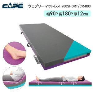 P[v EFu[}bgX 900 V[g^Cv CR-803 90×180cm |   xbh   ڏ ̈ U K h  Lk E^tH[ }bgX @ őΉ \tg