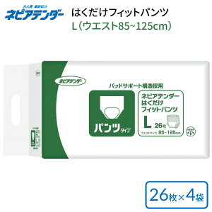 lsAe_[ ͂tBbgpc L iEGXg85`125cmj26×4ܓ TT50 qlsA | ނ pc^Cv l  pi N Vl VjA ނ Ic pc A