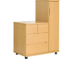  `FXg Ƌ bJ[`FXg 90cm^Cv i90×s56×123cmj RC-90 CguE gi O[[v  {݉Ƌ ItBXƋ m| |₷ { a