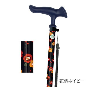  Lk 邪t@2i邪t@IIjLk WB521 tWz[   XebL  s⏕ Lk^Cv  pi ԕ 蕨v[g Mtg