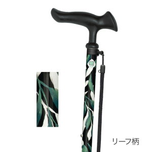  Lk 邪t@2i邪t@IIjLk WB521 tWz[   XebL  s⏕ Lk^Cv  pi ԕ 蕨v[g Mtg