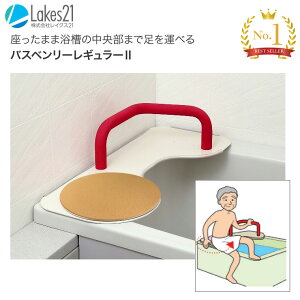 {[h oXx[ M[II BB-009 CNX21   oX{[h  ֎q 肷 pi p  