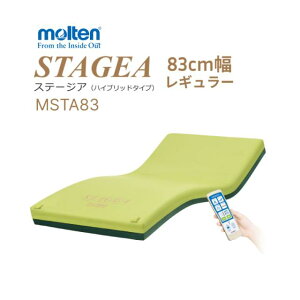 e molten GA}bgX VO  ̈U^GA}bgX Xe[WA M[ 83cm×193cm×13cm MSTA83  pi xbh dxbh  h~  \h 