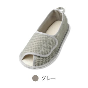 V[Y fB[X Y  ݃V[Y }WbN I[v 2503i̔j Y   C pi N  nr @ a@ { bV