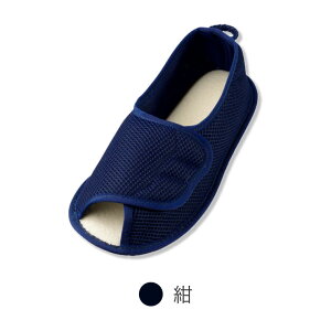 V[Y fB[X Y  ݃V[Y }WbN I[v 2503i̔j Y   C pi N  nr @ a@ { bV