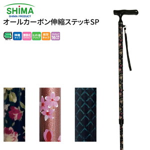  XebL Lk^Cv  쏊 I[J[{LkXebLSP  pi Lk XebL  s⏕  y J[{XebL y y v ׌^lbN^Cv SG}[N