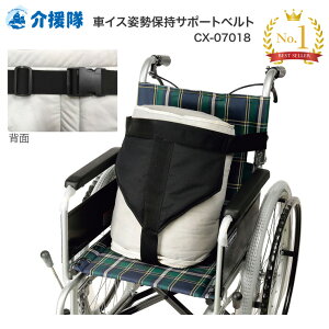  ԃCXpێT|[gxg CX-07018   Ԉ֎q xg ԃCXpxg pێ ʎpێ s֘A ԂIvV