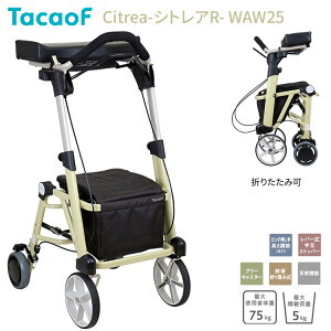 s eCRu TacaoF   VgAR WAW25 N[CG[ Ka쏊  pi s⏕ 艟 J[g }u[L Orxs ܂肽 ܂  
