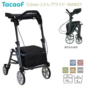 s eCRu TacaoF   VgACh WAW27 O[ Ka쏊  pi s⏕ 艟 J[g Orxs Ch݌v ܂肽 ܂  N 