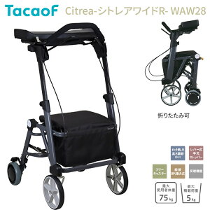 s eCRu TacaoF   VgAChR WAW28 O[ Ka쏊  pi s⏕ 艟 J[g }u[L Orxs Ch݌v ܂肽 ܂ 