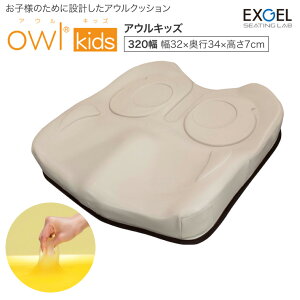 Ԉ֎q NbV AELbY 32cm OWK01-BK1-3234 n | Ԃ ԃCX qp qǂp p zc V[eBO |WVjO   \h  ᔽ WF ʕێ p