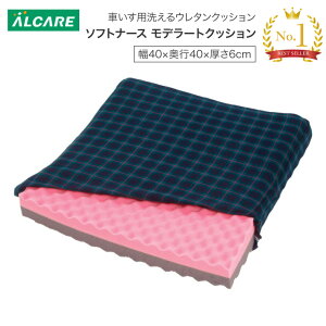 ԂpNbV \tgi[X f[gNbV 40×s40×6cm 20926 APA  NbV Ԉ֎qp ԃCX ̈U  pi N VjA Vl ̈ʕێ p